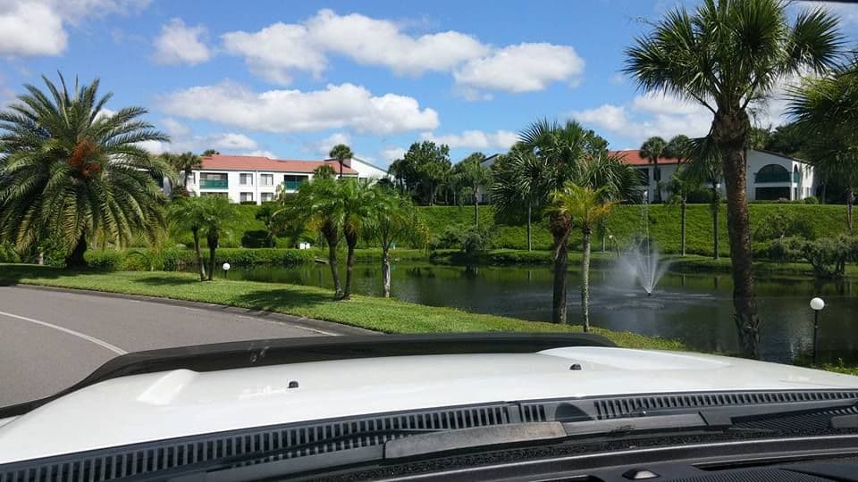 Palm-lined lawn beside a pond with an active sprinkler