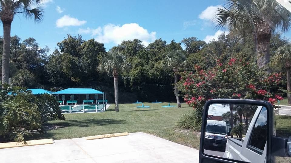 Shaded park landscape with palms and flowering shrubs