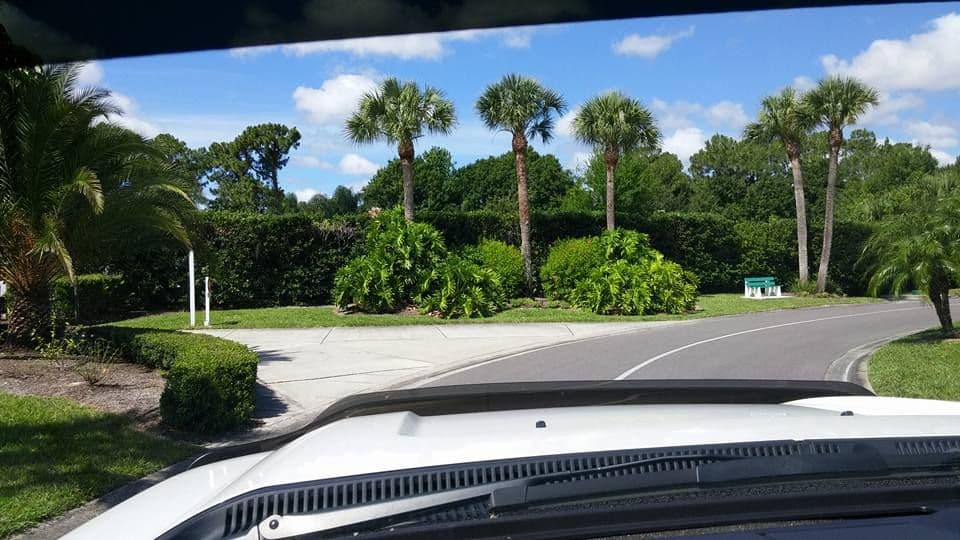 Palm landscape and curved roadway at a landscaped community